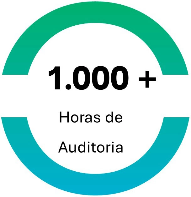 Mas de 1000 horas de auditoría.